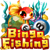 Bingo Fishing - fair play