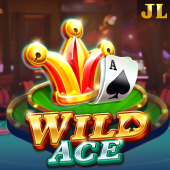 Wild Ace - fair play slot